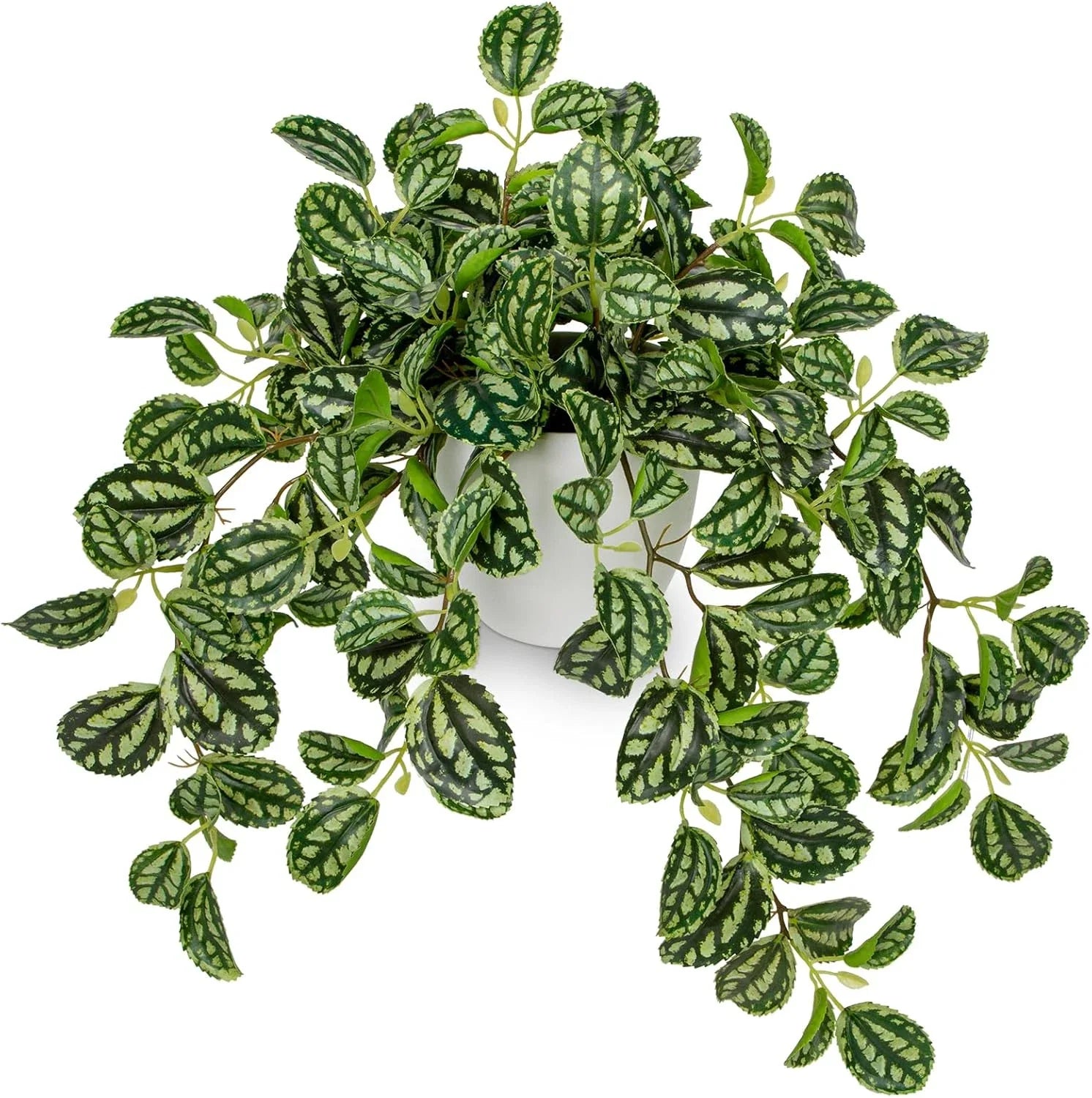 Artificial Potted Plant Faux Watermelon Peperomia Trailing Vine Home Decor